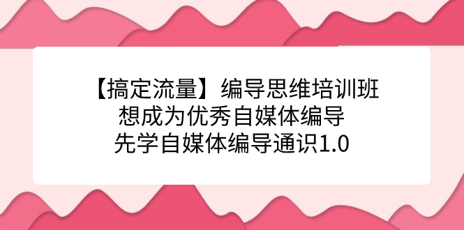 【搞定流量】编导思维培训班，想成为优秀自媒体编导先学自媒体编导通识1.0-星璨学社
