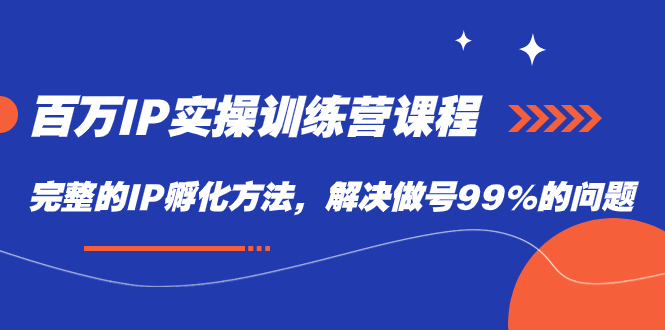 百万IP实战训练营课程，完整的IP孵化方法，解决做号99%的问题-星璨学社