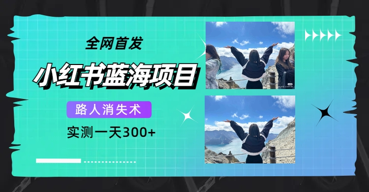 全网首发，小红书蓝海项目，路人消失术，实测一天300 （教程 工具）-星璨学社