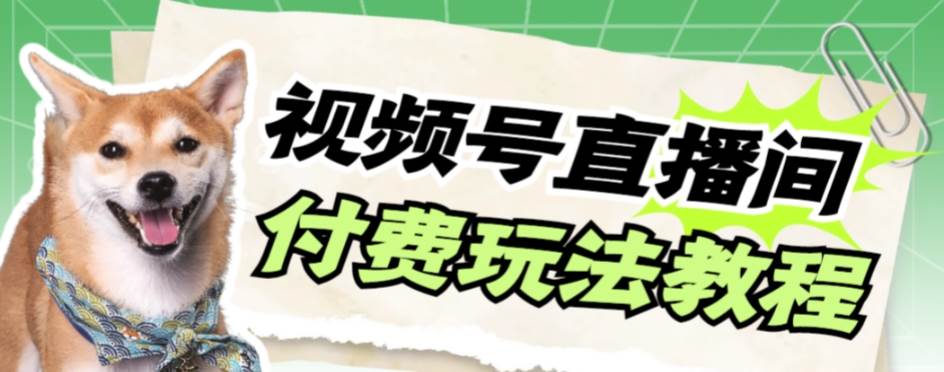 视频号美女付费无人直播，轻松日入500 【详细玩-星璨学社
