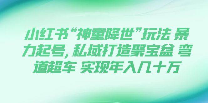 小红书“神童降世”玩法 暴力起号,私域打造聚宝盆 弯道超车 实现年入几十万-星璨学社