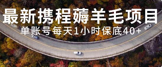 最新携程薅羊毛项目，单账号每天1小时保底收益40 ，可矩阵操作-星璨学社