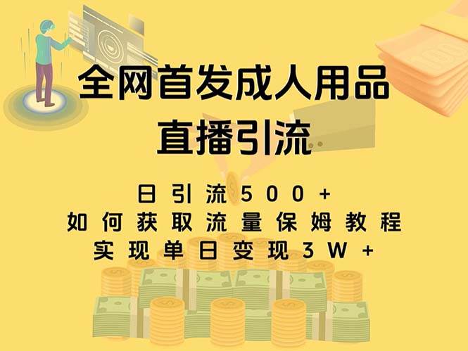 最新全网独创首发，成人用品直播引流获客暴力玩法，单日变现3w保姆级教程-星璨学社