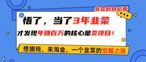 悟了，当了3年韭菜，才发现网赚圈年赚100万的核心是卖项目，含泪分享！-星璨学社