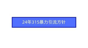 2024年315暴力引流方针-星璨学社