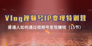 Vlog 视频号IP变现特训营，普通人如何通过视频号变现赚钱（15节）-星璨学社