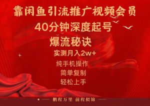 闲鱼暴力引流推广视频会员，能做到日入2W+，操作简单-星璨学社