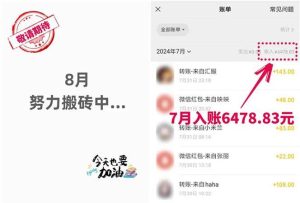 低价书变现搞钱项目：无需启动资金，当天见效，一天轻松搞几百块-星璨学社