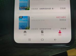 游戏看广告2.0  无需养机 操作简单 没有成本 日入500+-星璨学社