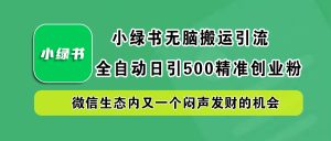 小绿书小白无脑搬运引流，全自动日引500精准创业粉，微信生态内又一个闷声发财的机会-星璨学社