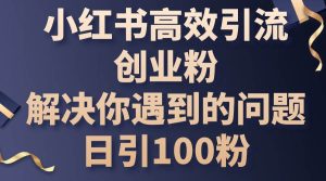 小红书高效引流创业粉，解决你遇到的问题，日引100粉-星璨学社
