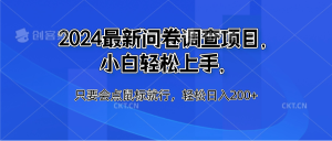 2024最新问卷调查项目，小白轻松上手，只要会点鼠标就行，轻松日入200+-星璨学社