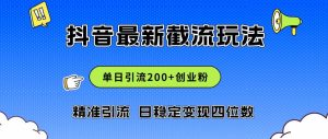 2024年抖音评论区最新截流玩法，日引200+创业粉，日稳定变现四位数实操...-星璨学社
