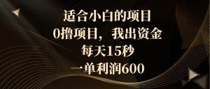 适合小白的项目，0撸项目，我出资金，每天15秒，一单利润600-星璨学社