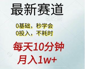每天10分钟，月入1w+。看完就会的无脑项目-星璨学社