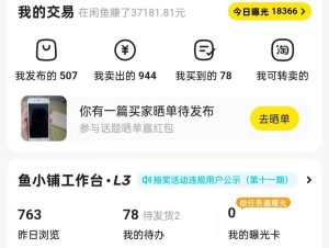 揭秘闲鱼首饰市场，七天螺旋暴力起号玩法，最详细保姆式教学，日入1000+-星璨学社