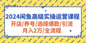 2024闲鱼高级实操运营课程：开店/养号/选择爆款/引流/月入2万/全流程-星璨学社