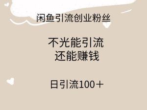 闲鱼精准引流创业粉丝，日引流100＋，引流过程还能赚钱-星璨学社