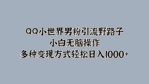 QQ小世界男粉引流野路子，小白无脑操作，多种变现方式轻松日入1000+-星璨学社