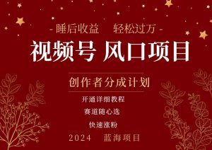 拥有睡眠收益的微信视频号大风口项目，轻松月入过万+，多赛道选择，可矩阵，玩法简单轻松上手-星璨学社