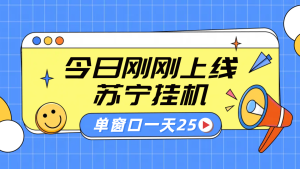 苏宁脚本直播挂机，正规渠道单窗口每天25元放大无限制-星璨学社