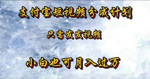 支付宝短视频劲爆玩法，只需发发视频，小白也可月入过万-星璨学社