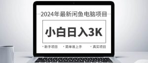 2024最新闲鱼卖电脑项目，新手小白日入3K+，最真实的项目教学-星璨学社