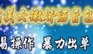 车载美女撒娇语音包,执行就出单,月入3000+,小白看完课程就能马上实操-星璨学社