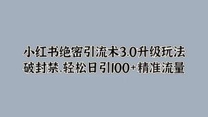 小红书绝密引流术3.0升级玩法，破封禁，轻松日引100+精准流量-星璨学社