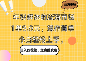 年轻群体的蓝海市场，1单9.9元，操作简单，小白轻松上手，日入四位数，送完整攻略-星璨学社