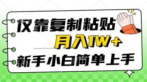 仅靠复制粘贴，被动收益，轻松月入1w+，新手小白秒上手，互联网风口项目-星璨学社