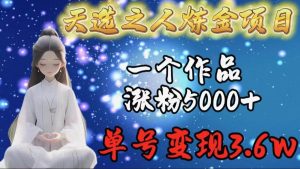 天选之人炼金项目，一个作品涨粉5000+，单号变现3.6w-星璨学社