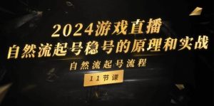 2024游戏直播-自然流起号稳号的原理和实战，自然流起号流程（11节）-星璨学社
