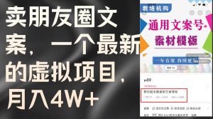 卖朋友圈文案，一个最新的虚拟项目，月入4W+（教程+素材）-星璨学社