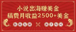 小说出海赚美金，稿费月收益2500+美金，仅需chatgpt粘贴复制，新手也能玩转-星璨学社