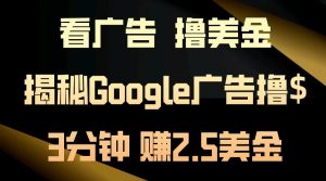 看广告，撸美金！3分钟赚2.5美金！日入200美金不是梦！揭秘Google广告撸美金全攻略！-星璨学社