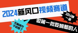 2024新风口视频赛道 做第一批吃螃蟹的人 10分钟一条原创视频 小白无脑操作1-星璨学社