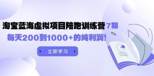 黄岛主《淘宝蓝海虚拟项目陪跑训练营7期》每天200到1000+的纯利润-星璨学社