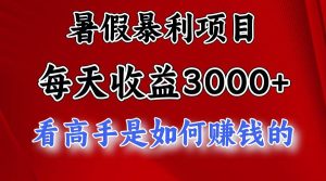 暑假暴利项目，每天收益3000+ 努努力能达到5000+，暑假大流量来了-星璨学社