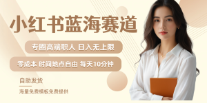 小红书蓝海赛道专圈高端职人日入无上限零成本每天十分钟-星璨学社