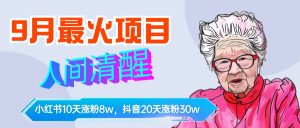 9月最火项目，人间清醒柒奶奶，10天小红薯涨粉8w+，单篇笔记报价1400.-星璨学社