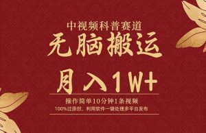 中视频科普赛道，10分钟1条视频，条条爆款，100%过原创，无脑搬运月入1W+-星璨学社