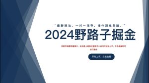 2024野路子掘金，最新玩 法， 一对一指导，操作简单无脑。-星璨学社