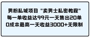 男粉私域项目 卖男士私密教程 每一单收益达99元一天售出20单-星璨学社