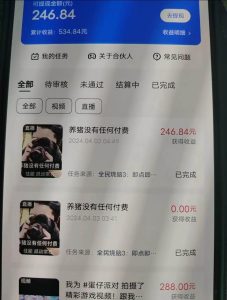 游戏看广告 无需养机 操作简单 没有成本 日入500+-星璨学社