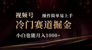 2024视频号冷门赛道掘金，操作简单轻松上手，小白也能月入1000+-星璨学社