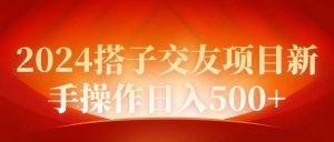 2024同城交友项目新手操作日入500+-星璨学社