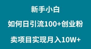新手小白如何通过卖项目实现月入10W+-星璨学社
