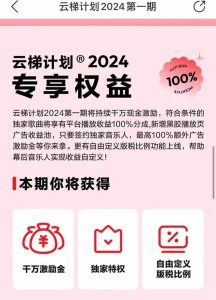 2024网易云云梯计划 单机日300+ 无脑月入5000+-星璨学社