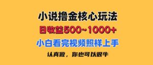 小说撸金核心玩法，日收益500-1000+，小白看完照样上手，0成本有手就行-星璨学社